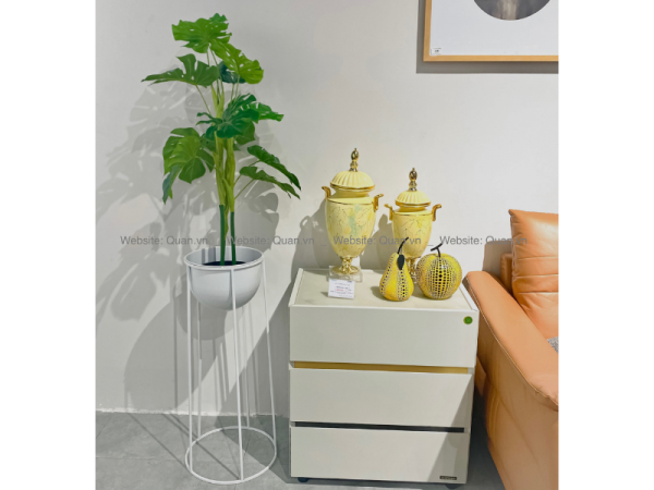 Chậu cây decor - CY00003