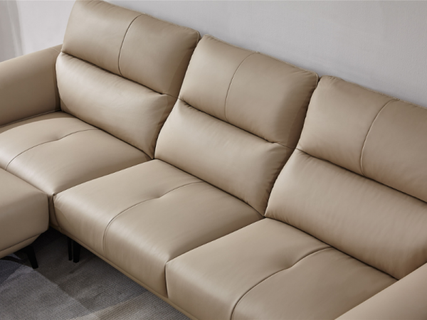 Sofa da - 22703B-5
