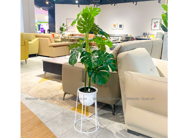 Chậu cây decor - CY00003